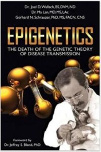 Epigenetics book