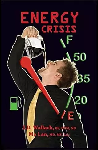Energy Crisis Book