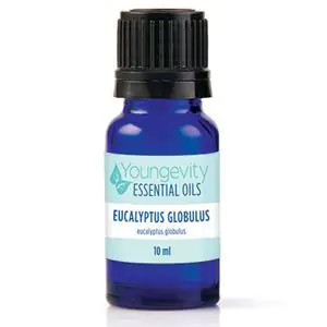 Eucalyptus Globulus Essential Oil – 10ml